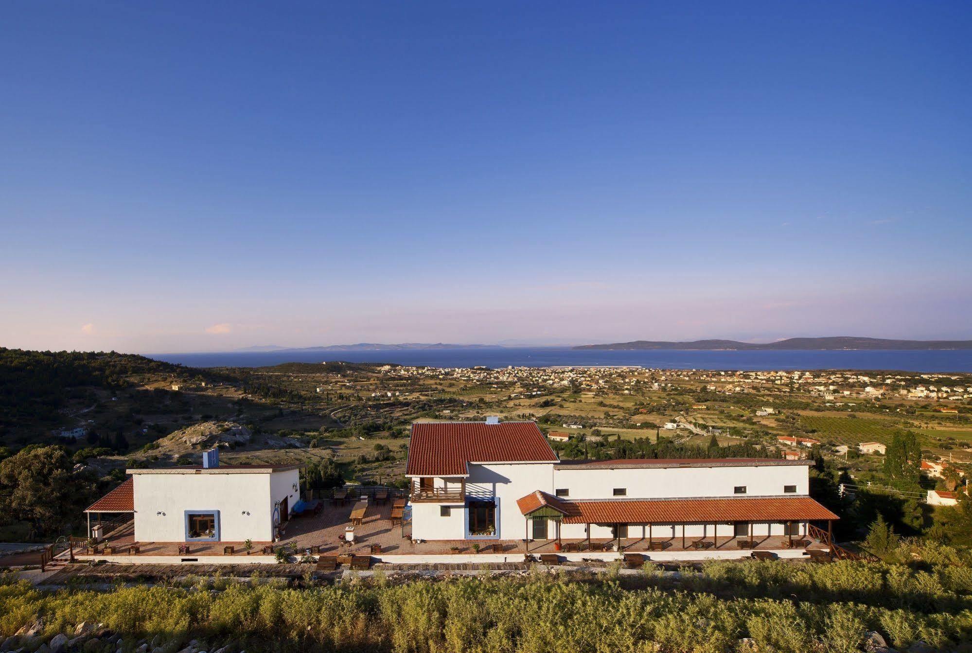 Mavi Keci Hotel Mordogan Εξωτερικό φωτογραφία